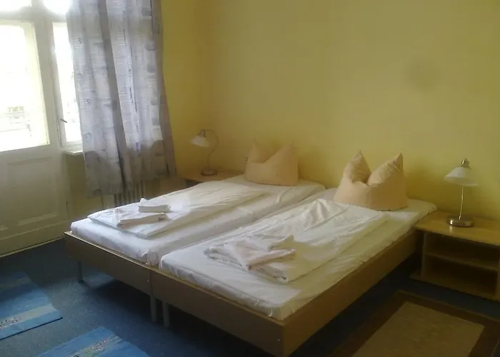 酒店 Hotel-pension Gribnitz 2*